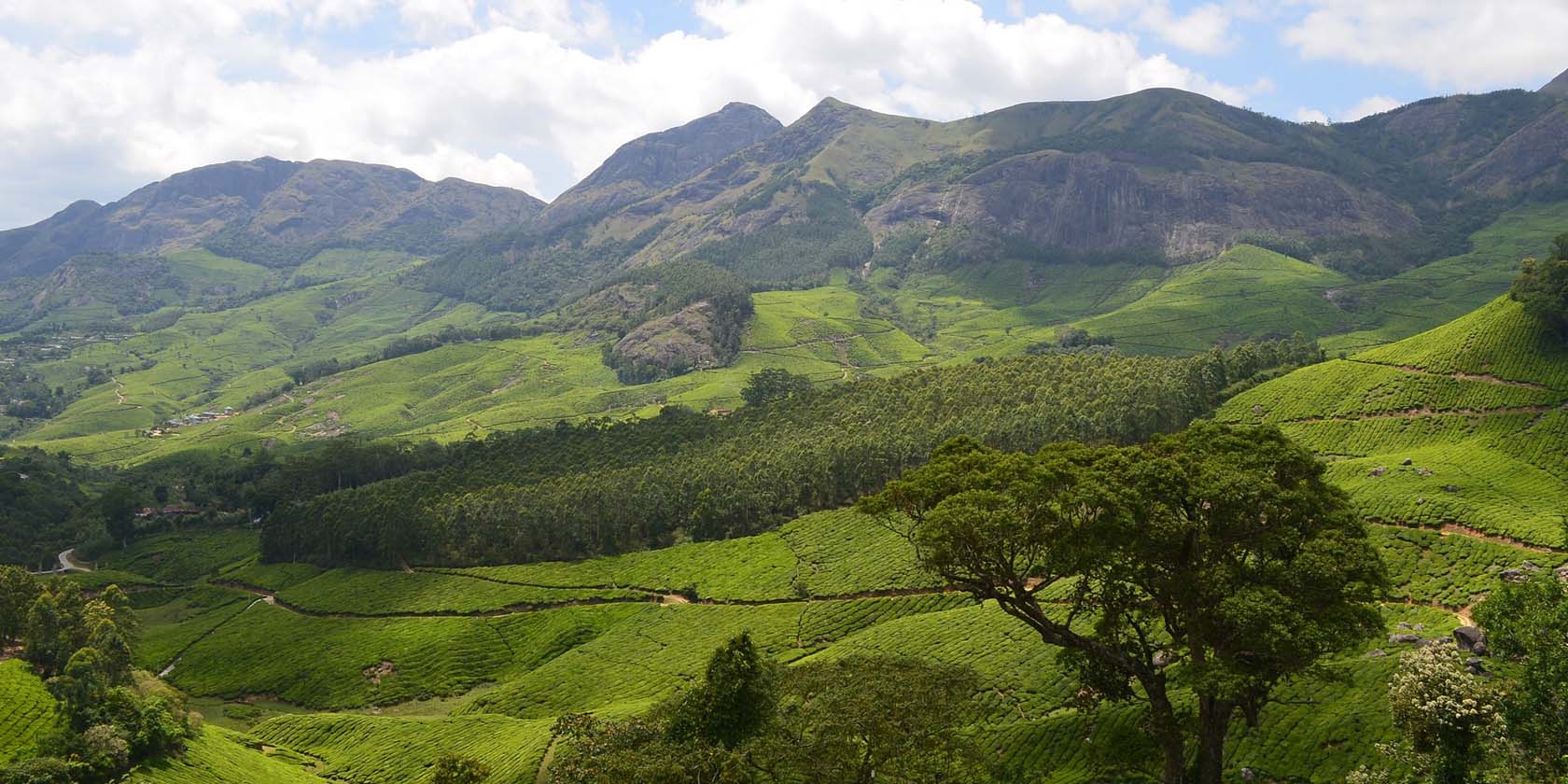 Munnar