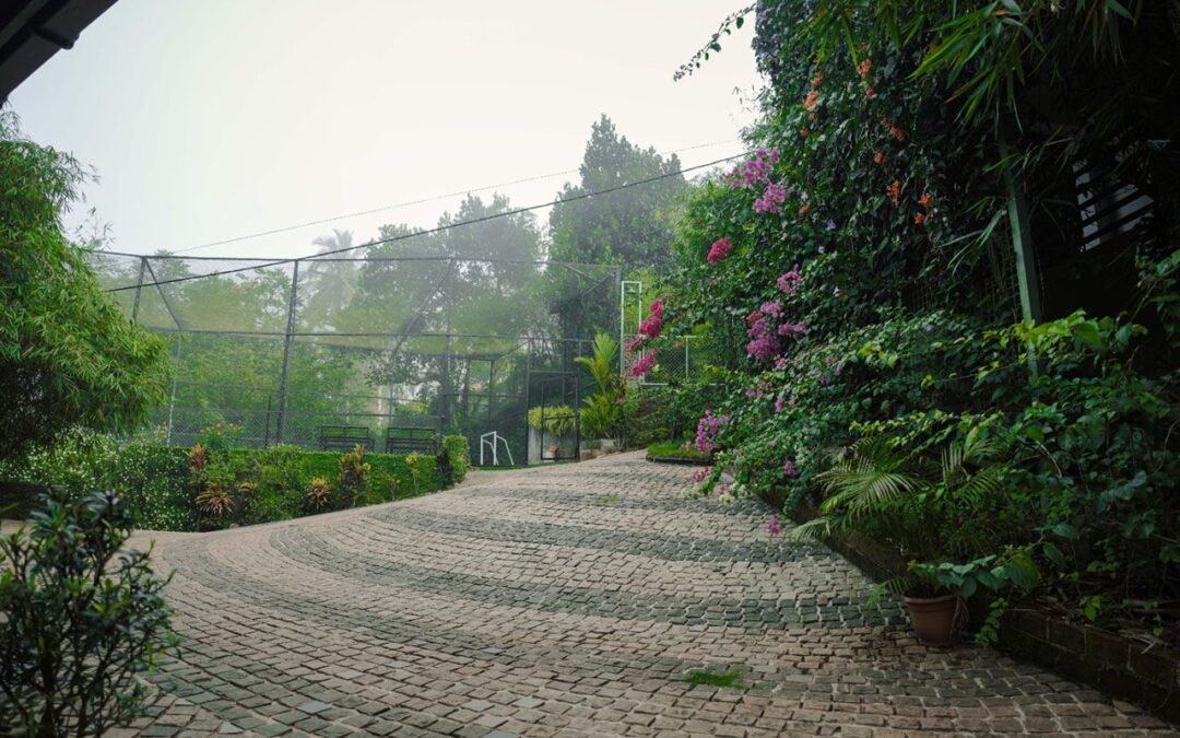 Best Wayanad Packages and Resorts in Wayanad for a Perfect Nature Getaway