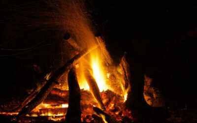 Top Accommodation in Vagamon: Experience Adventure and Luxury at Foggy Knolls