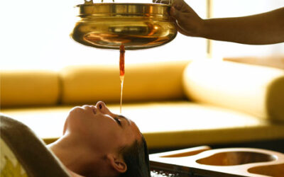 Luxury Backwater Resort in Alleppey – Warmth Lake Haven