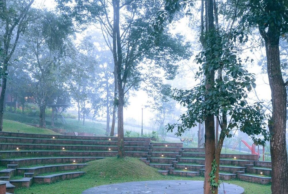 Explore Honeymoon Packages in Wayanad with Luxury Stay & Adventure Activities