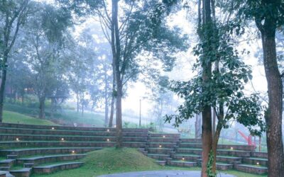 Explore Honeymoon Packages in Wayanad with Luxury Stay & Adventure Activities