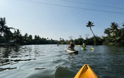 Kayaking in Kochi: Explore Kadamakkudy Island & Mangroves