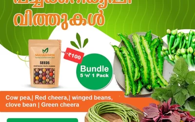 Buy Vegetable Seeds Online: Healthy vegetable seeds for home gardening