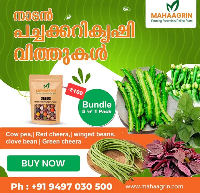 Buy Vegetable Seeds Online: Healthy vegetable seeds for home gardening