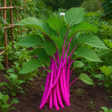 Healthy vegetable garden at home grown using Mahagrin vegetable seeds