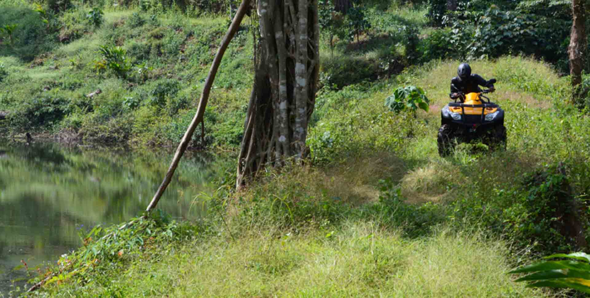 Adventure activities at Misty Woods Resort Coorg including ATV rides, trekking, and rope activities