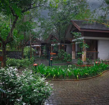 Scenic view of Morickap Resort Wayanad surrounded by misty hills and lush plantations