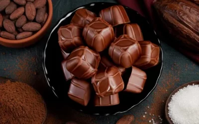 Buy Pure Dark Chocolates Online – Discover the Finest Chocolate Destination with Macofa Chocolate