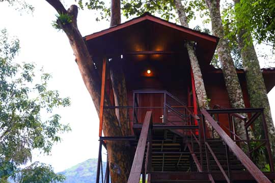 Mesmerizing mountain and valley views from the Tree House at Southern Panorama Indriya Munnar, surrounded by lush greenery and mist-covered hills.