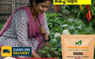 Buy Vegetable Seeds Online for a Healthy and Budget-Friendly Home Harvest