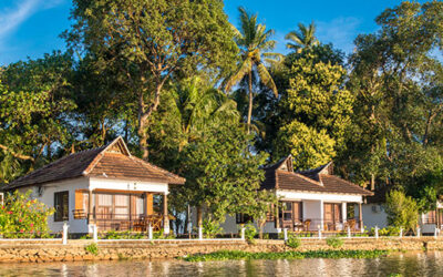 Ayurveda Resorts in Alleppey: Your Perfect Backwater Wellness Escape