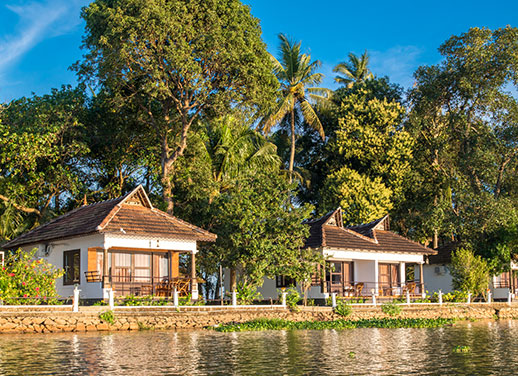 Ayurveda Resorts in Alleppey: Your Perfect Backwater Wellness Escape