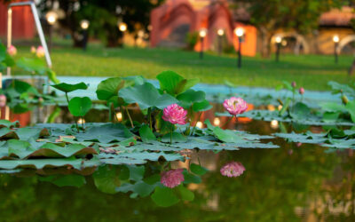 Ayurvedic Resort in Kerala for Wellness, Comfort, and Riverside Serenity
