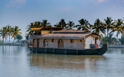 Grand Kerala Tour Package: Backwaters, Hills and Wildlife in One Journey