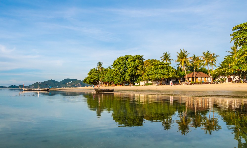Calm beachfront with palm trees, a wooden boat and hills in the distance, a relaxing stop on the Grand Kerala Tour Package